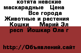 котята невские маскарадные › Цена ­ 18 000 - Все города Животные и растения » Кошки   . Марий Эл респ.,Йошкар-Ола г.